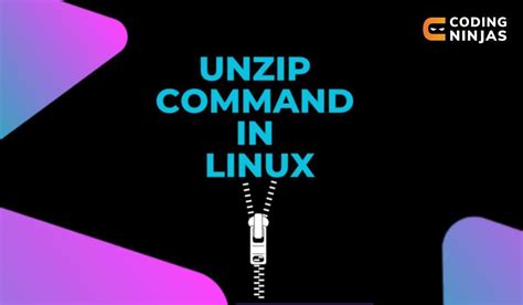 Image result for Unzip Linux Command