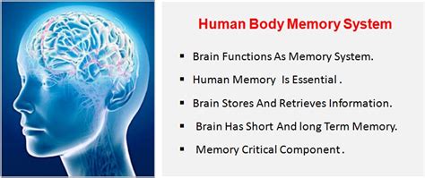 Image result for Human Memory and Computer Memory