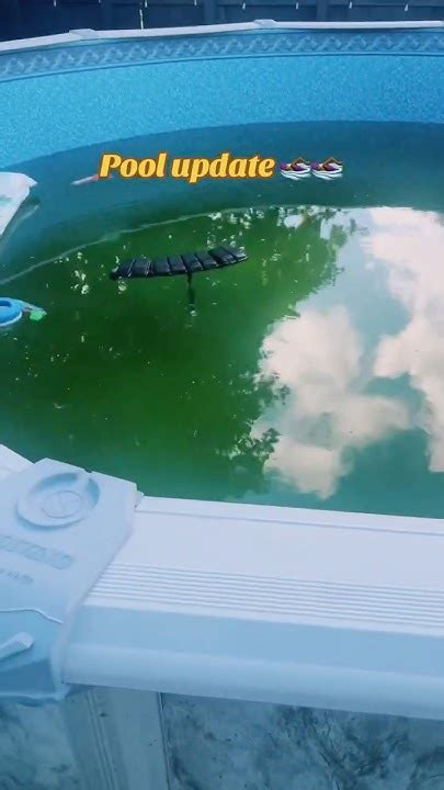 Afbeeldingsresultaten voor How to Clean a Dirty Above Ground Pool