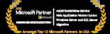 Image result for Microsoft Azure Accelerator Card