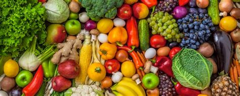 نتيجة الصورة لـ Perishable Material