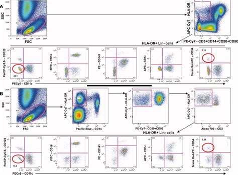 Toradh íomhá ar B-cell Subset Flow Cytometry Panel