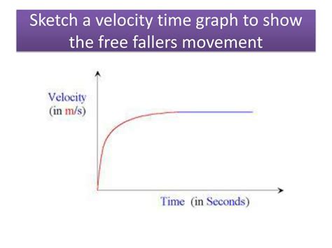 Free Fall Terminal Velocity Graph に対する画像結果