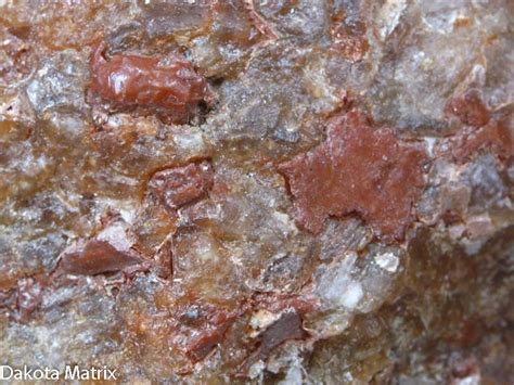 Image result for Sylvite