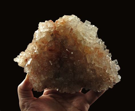 Image result for Sylvite