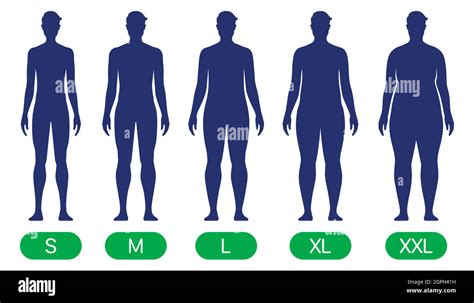 Image result for Different Body Types Models