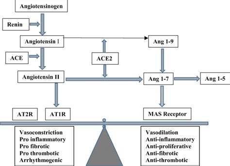 Image result for Raas Systeem
