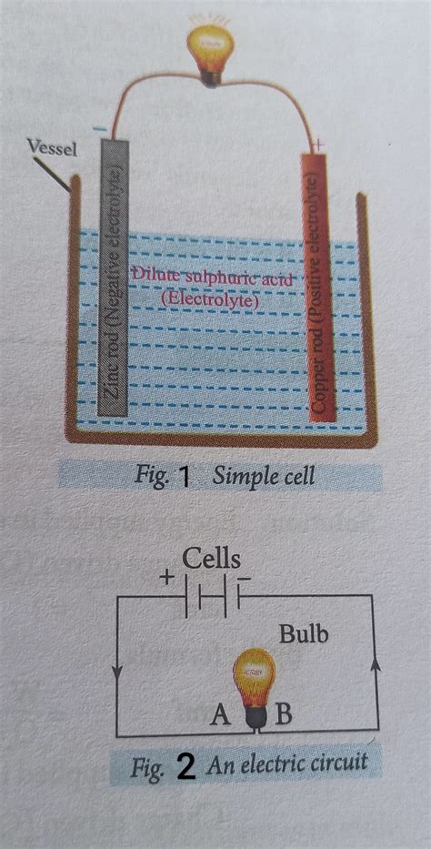 Image result for Cell Potential Difference Diagram