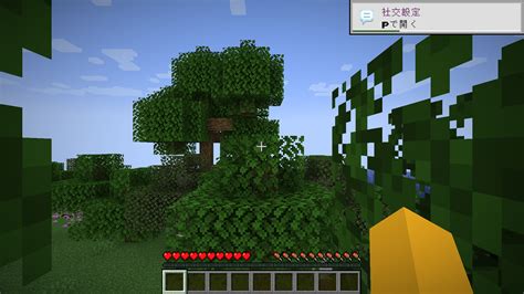 Image result for JavaServer Minecraft