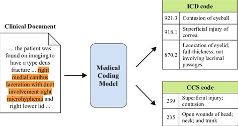 Image result for Medical Code Example