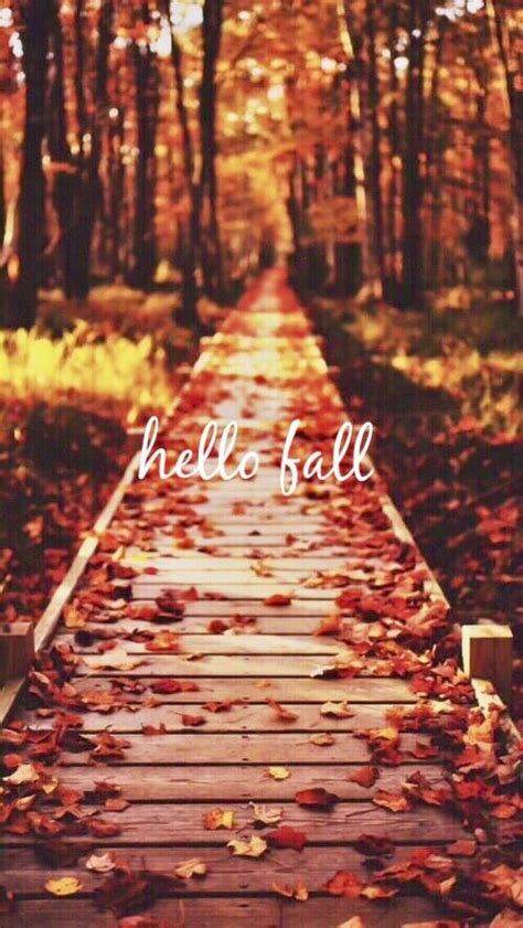 Image result for Fall Lock Screen for Desktop