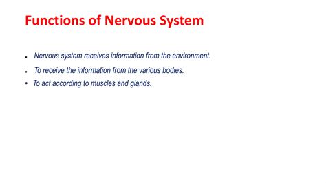 Toradh íomhá ar Science Project 10th Class