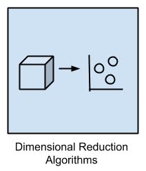 Image result for Dimensional Reduction