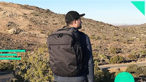 Image result for Tortuga Set Out