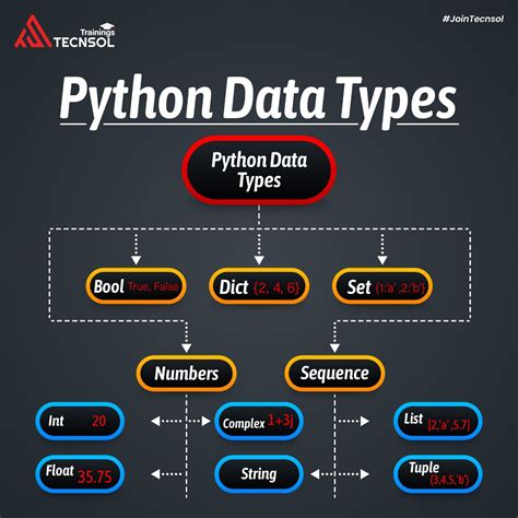 What Are Data Types in Python に対する画像結果