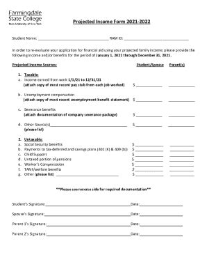 Toradh íomhá ar Projected SS Income Form