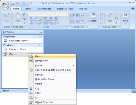 Image result for Access Run Query