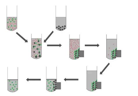 DNA Extraction Method GIF に対する画像結果