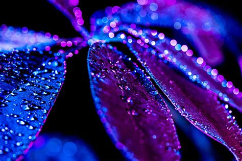 Neon Blue Color Code に対する画像結果