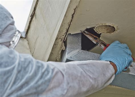 Bildergebnis für Asbestos Check