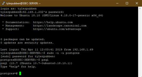 Postgres Log に対する画像結果