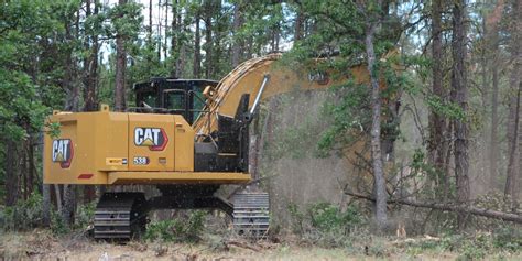 Image result for Cat Logging