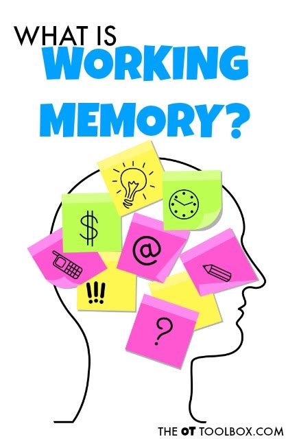 Image result for Working Memory