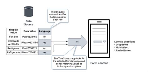 Image result for How to Display Language Data