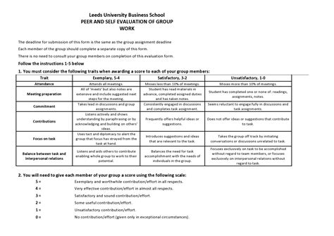 Image result for Peer Evaluation Form Sample