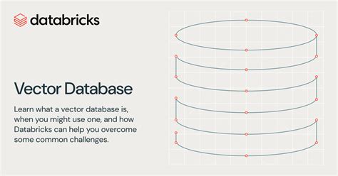 Image result for Databricks Vector Index