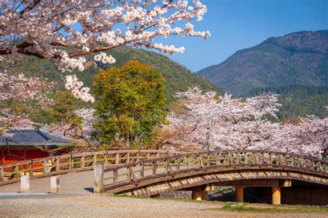 Afbeeldingsresultaten voor Japon Spring