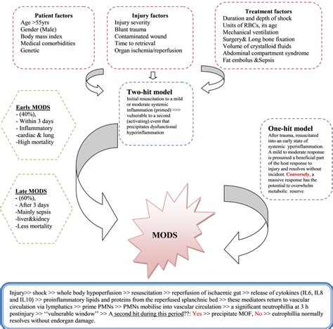 Multiple Organ Dysfunction Syndrome (MODS): Is It Preventable or ...