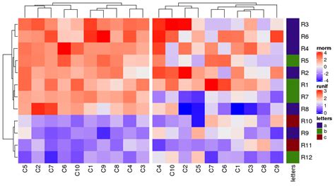 Password Complexity Heatmap に対する画像結果