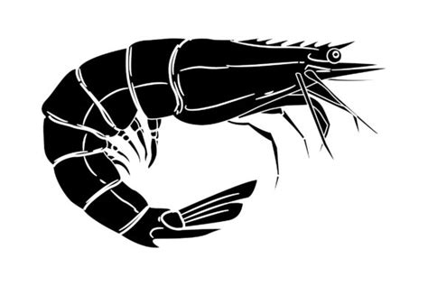 Toradh íomhá ar Solid Color Graphics