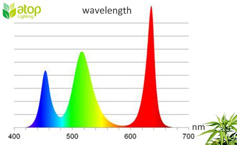 Image result for Plant LED Spectrum