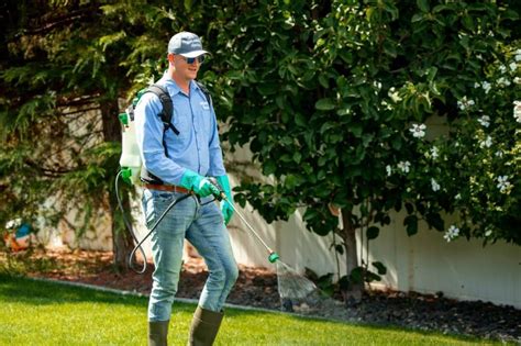 Image result for Best Pre-Emergent Weed Control