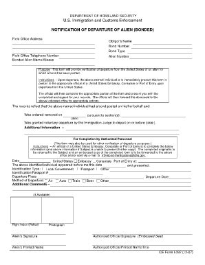Image result for Immigration Form I-391
