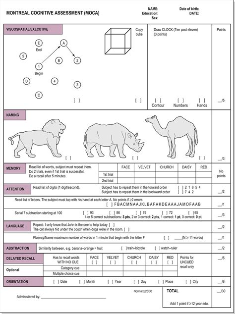 Image result for Cognitive Tests Examples