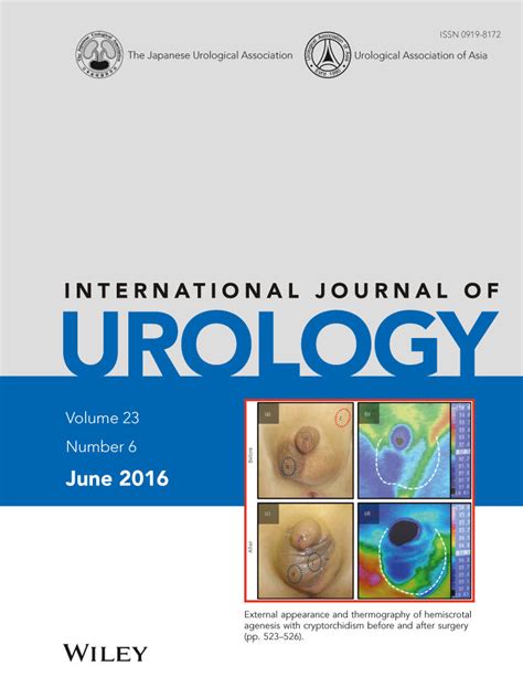 Bladder Neck Resection に対する画像結果