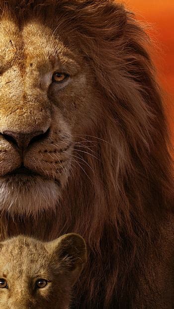 Image result for Mufasa Colors