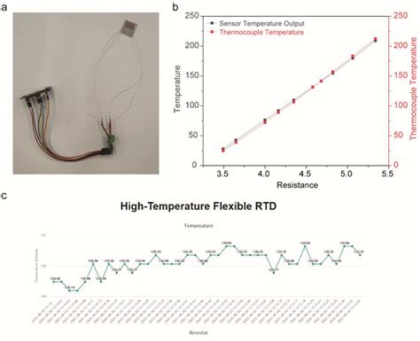 RTD Sensor Testing に対する画像結果
