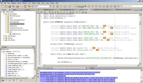 Image result for Java Netbeans API