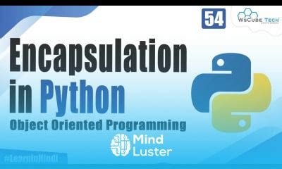 Image result for Image Representation of a Encapsulation in Python