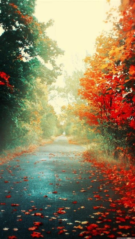 Afbeeldingsresultaten voor Beautiful Lock Screen