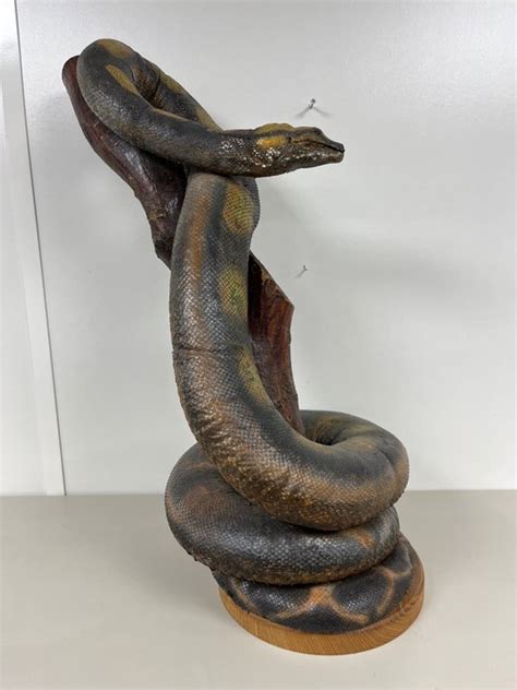 Afbeeldingsresultaten voor Send Email with Header and Body Python