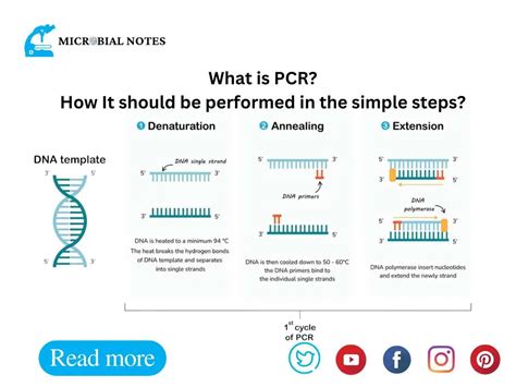 Image result for What Is PCR