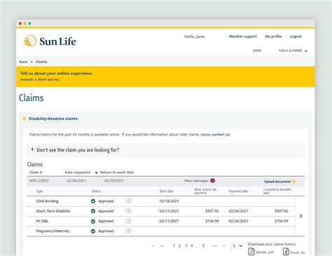 Image result for Sun Life Insurance Coverage
