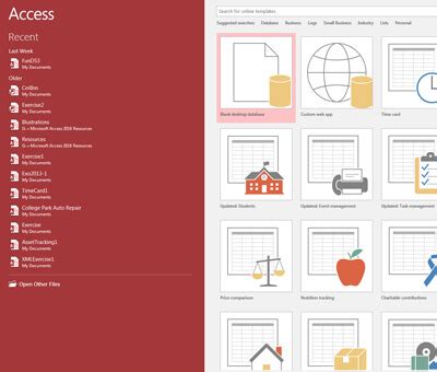 Image result for MS Access File Format