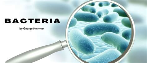 Image result for Bacteria Cell in Air Dust