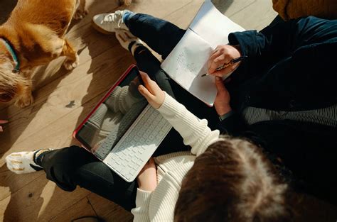 Openai Image Generation Examples に対する画像結果